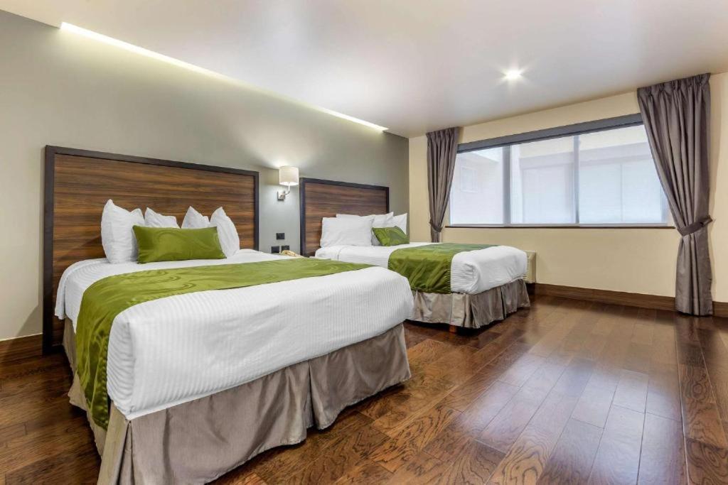 Quality Inn Chihuahua San Francisco Phòng bức ảnh